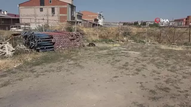 Son dakika haberleri! Kiraz tüfekle vurularak öldürüldü Son dakika haberleri! Kiraz tüfekle vurularak öldürüldü