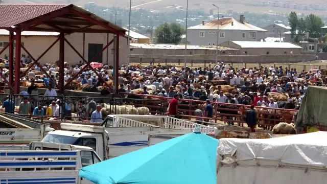 Kurban Bayramı arefesinde canlı hayvan pazarında yoğunluk arttı