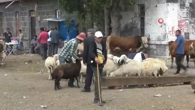 Kurban Pazarı'nda arefe günü yoğunluğu Kurban Pazarı'nda arefe günü yoğunluğu