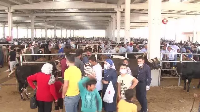 Kurban Pazarı'nda arefe günü yoğunluğu