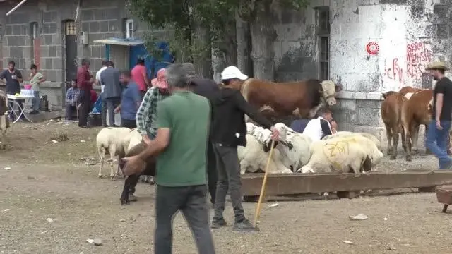 Kurban Pazarı'nda arefe günü yoğunluğu