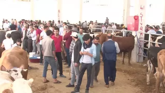 Kurban Pazarı'nda arefe günü yoğunluğu
