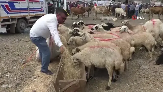Kurban Pazarı'nda arefe günü yoğunluğu