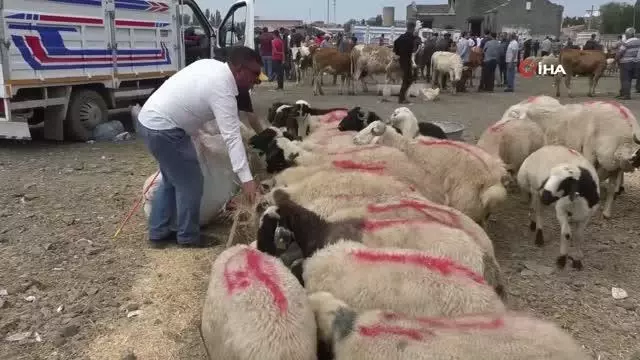 Kurban Pazarı'nda arefe günü yoğunluğu