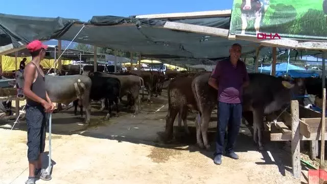 KURBAN PAZARINDA SON GÜN YOĞUNLUĞU