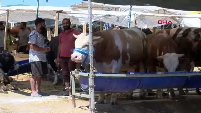 KURBAN PAZARINDA SON GÜN YOĞUNLUĞU