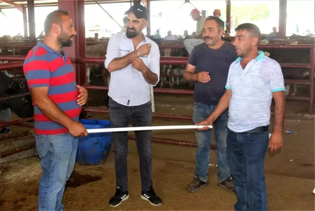 Kurban pazarının en büyükleri alıcısını buldu