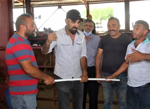 Kurban pazarının en büyükleri alıcısını buldu