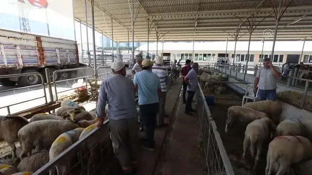 Kurban pazarlarında arife günü hareketliliği