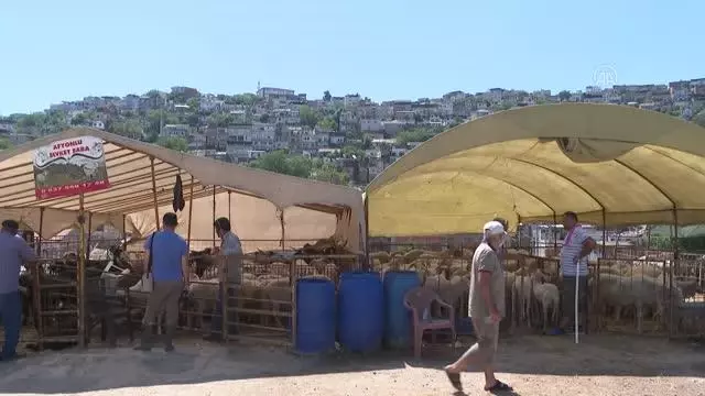 Kurban pazarlarında hareketlilik sürüyor Kurban pazarlarında hareketlilik sürüyor
