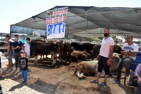 KURBAN PAZARINDA SON GÜN YOĞUNLUĞU