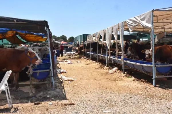 KURBAN PAZARINDA SON GÜN YOĞUNLUĞU