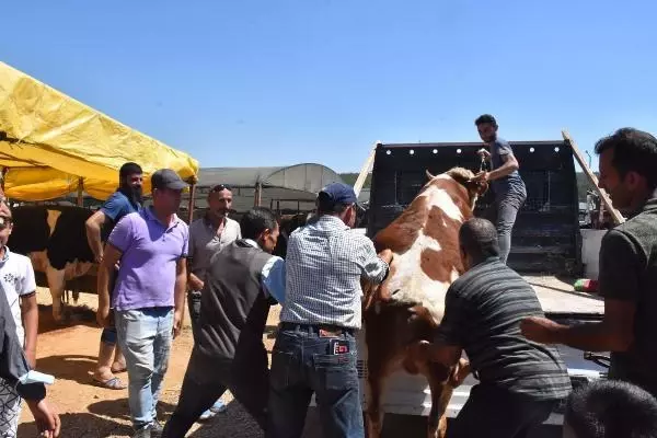 KURBAN PAZARINDA SON GÜN YOĞUNLUĞU