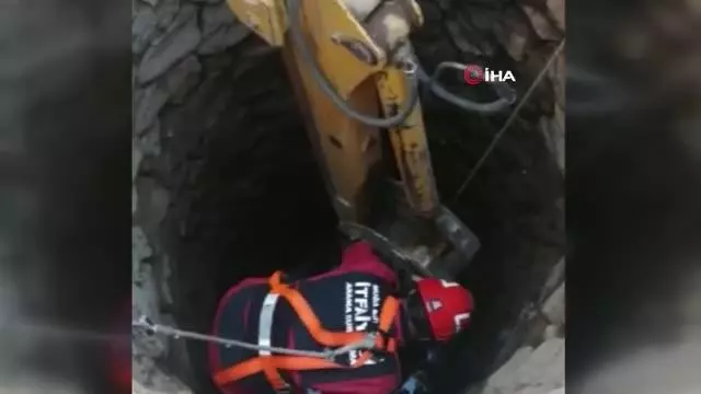 Kurbanlık dana kuyuya düştü Kurbanlık dana kuyuya düştü