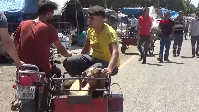 KURBANLIK PAZARINDA DENETİM KURBANLIK PAZARINDA DENETİM