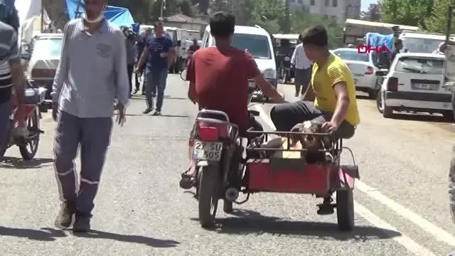 KURBANLIK PAZARINDA DENETİM
