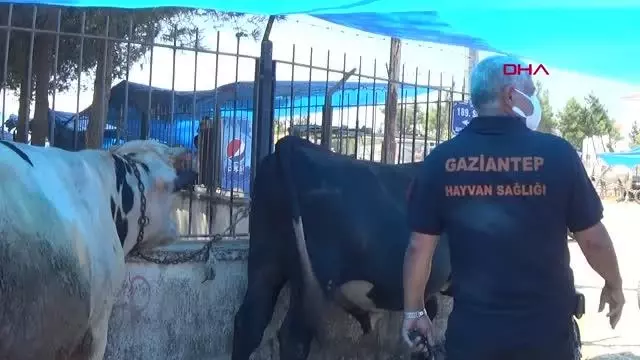 KURBANLIK PAZARINDA DENETİM