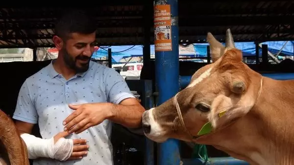 KURBANLIK PAZARLIĞI SIRASINDA KOLU ÇATLADI