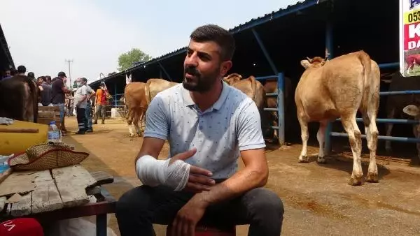 KURBANLIK PAZARLIĞI SIRASINDA KOLU ÇATLADI