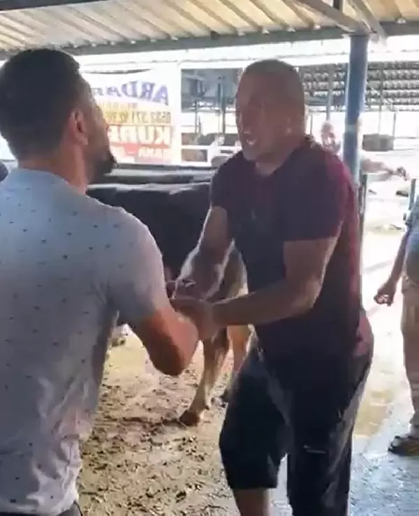 KURBANLIK PAZARLIĞI SIRASINDA KOLU ÇATLADI