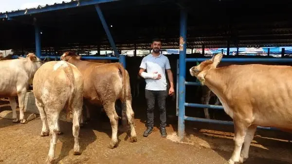 KURBANLIK PAZARLIĞI SIRASINDA KOLU ÇATLADI