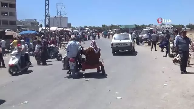 Kurbanlıkların motosikletle taşındığı anlar ilginç görüntülere sahne oldu