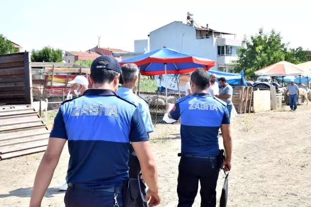 Lapseki'de kurbanlık hayvan pazarı kuruldu