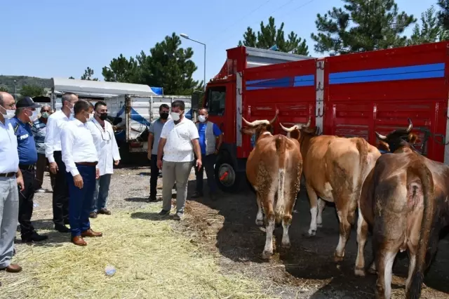 Marmara bölgesinde kara yollarında bayram yoğunluğu