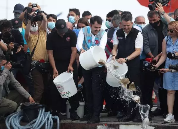 Marmara'nın balıkları Antalya'dan Marmara'nın balıkları Antalya'dan