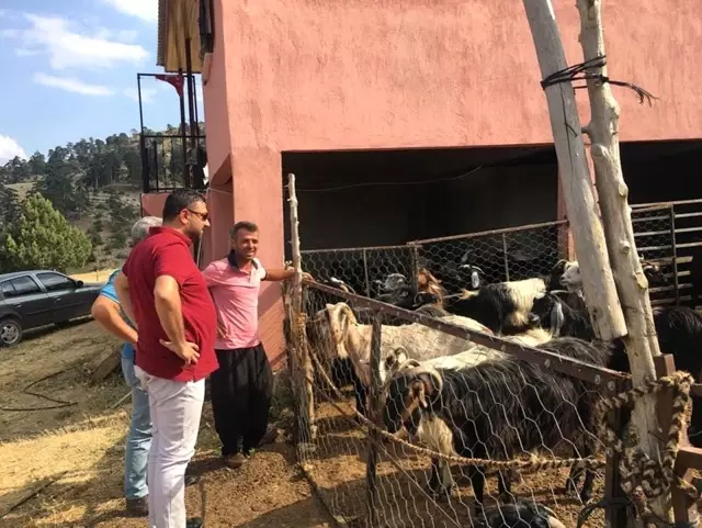 Mut Belediyesi'nden Kurban Bayramı tedirleri