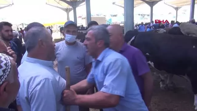 NİĞDE HAYVAN PAZARINDA ARİFE GÜNÜ HAREKETLİLİĞİ NİĞDE HAYVAN PAZARINDA ARİFE GÜNÜ HAREKETLİLİĞİ