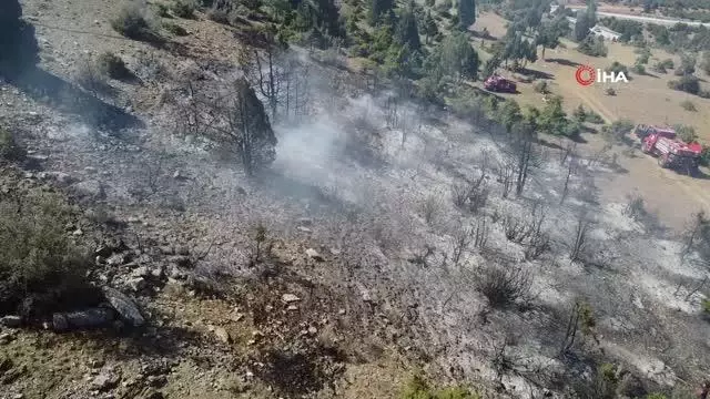 Ormanlık alanda çıkan yangın kontrol altına alındı