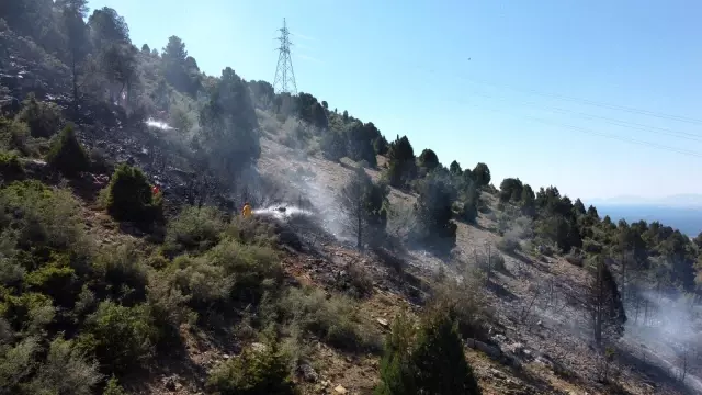 Ormanlık alanda çıkan yangın kontrol altına alındı