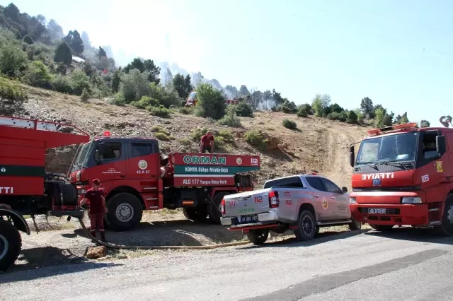 Ormanlık alanda çıkan yangın kontrol altına alındı