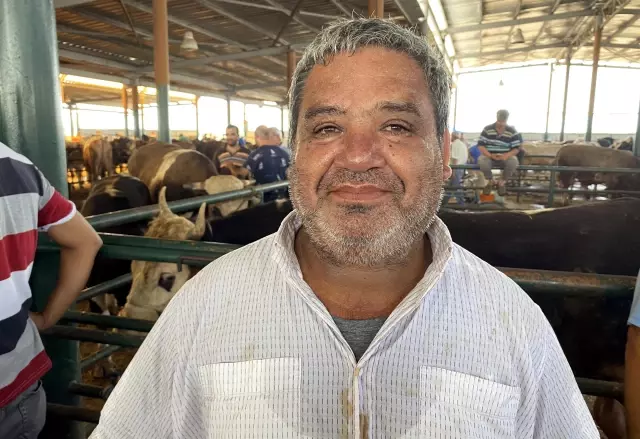 Hayvan pazarındaki kurbanlıklar alıcılarını bekliyor