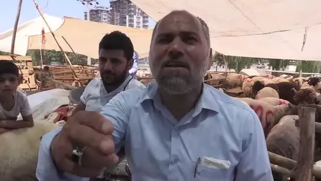 ŞANLIURFA - Canlı hayvan pazarlarında yoğunluk yaşanıyor