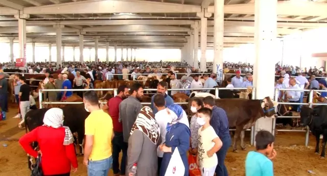 Kurban Pazarı'nda arefe günü yoğunluğu