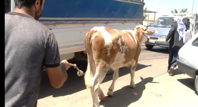 Kurban Pazarı'nda arefe günü yoğunluğu