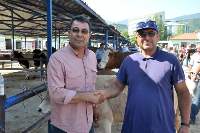 Simav'da üretici umduğunu bulamadı Simav'da üretici umduğunu bulamadı