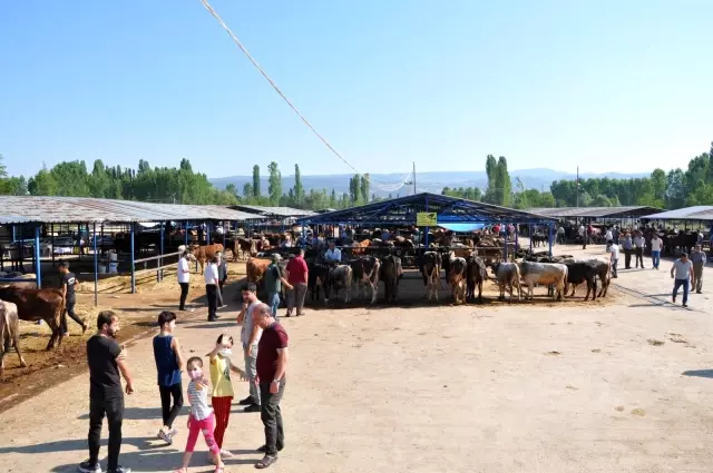 Simav'da üretici umduğunu bulamadı