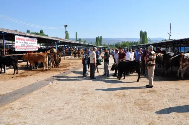 Simav'da üretici umduğunu bulamadı