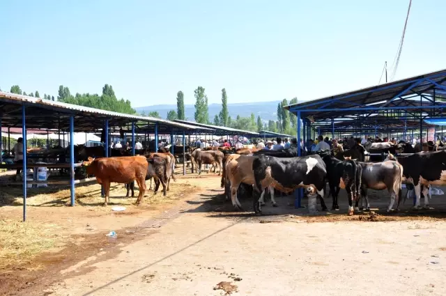 Simav'da üretici umduğunu bulamadı
