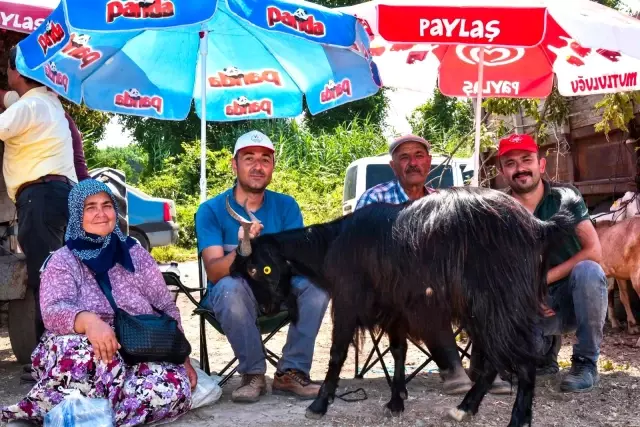Sındırgı'da yeni kurulan hayvan pazarında arife yoğunluğu yaşandı