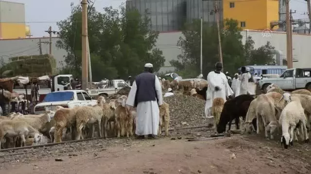 Sudan'da hayat pahalılığı kurban satışlarını olumsuz etkiledi