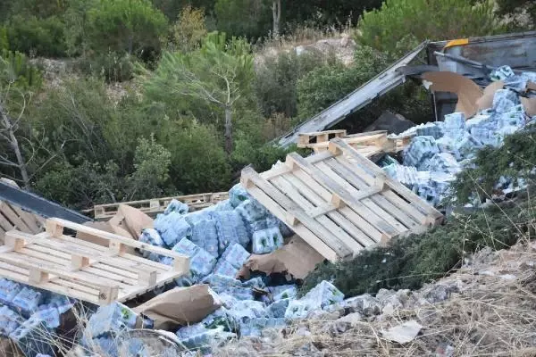 SÜRÜCÜSÜNÜN İÇİNDE UYUDUĞU TIR, HAREKET EDİP ORMANLIK ALANA DEVRİLDİ