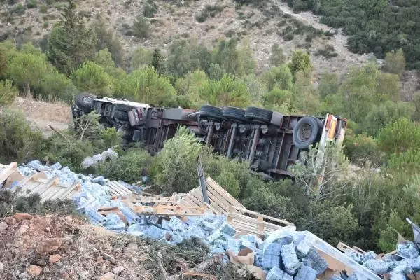 SÜRÜCÜSÜNÜN İÇİNDE UYUDUĞU TIR, HAREKET EDİP ORMANLIK ALANA DEVRİLDİ