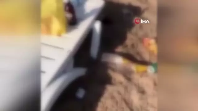 Tatil cenneti Bozcaada'yı bu hale getirdiler