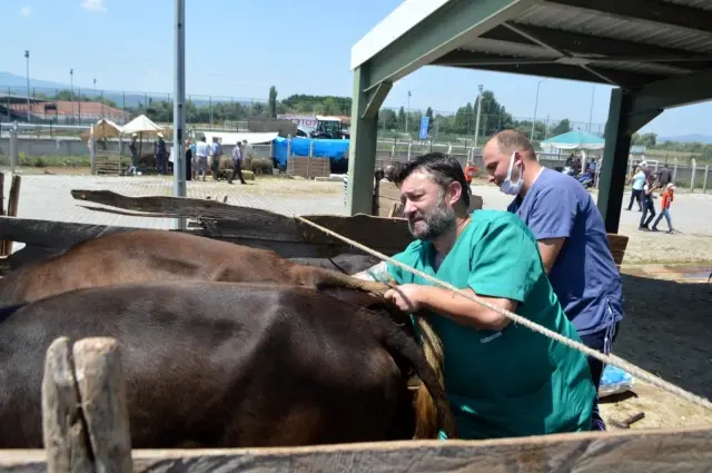 Tavşanlı Kurban pazarında denetim Tavşanlı Kurban pazarında denetim