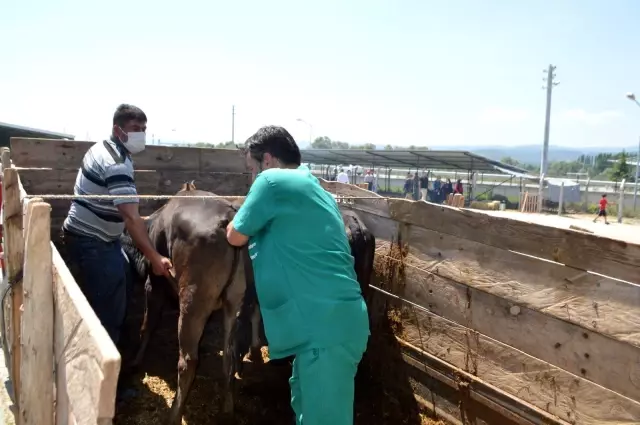 Tavşanlı Kurban pazarında denetim