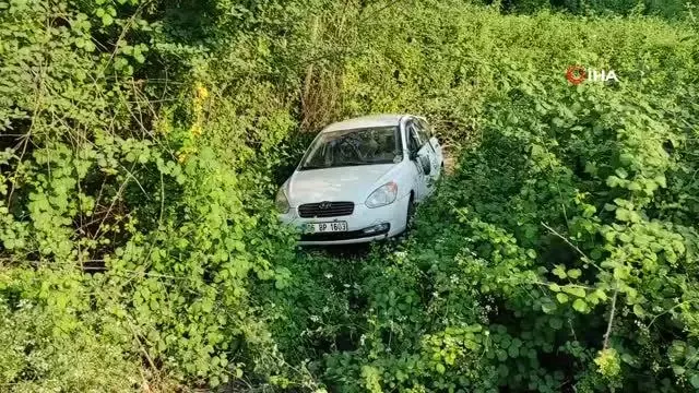 TEM'de kontrolden çıkan otomobil ağaçlık alana uçtu: 3 yaralı